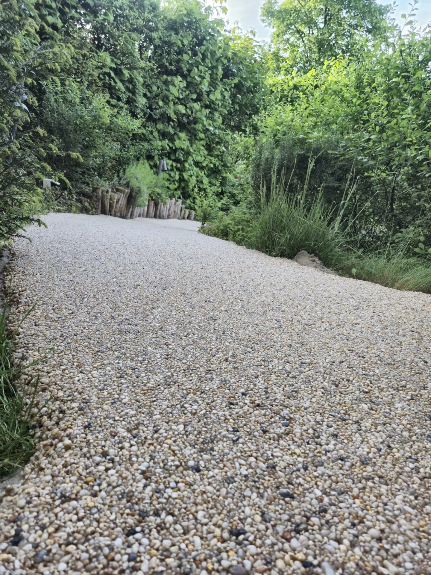 Tuinpad van harsgebonden grind dat tussen hoge, groene beplanting en siergrassen door loopt.